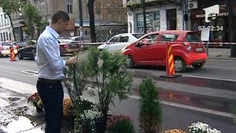 VIDEO! Au plantat crizanteme in gropile neasfaltate din Capitala