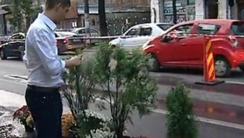 VIDEO! Au plantat crizanteme in gropile neasfaltate din Capitala