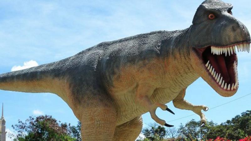 Tyrannosaurus Rex a fost cu mult mai mare si mai infricosator de cat ne imaginam
