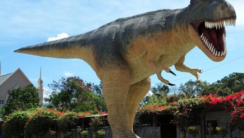 Tyrannosaurus Rex a fost cu mult mai mare si mai infricosator de cat ne imaginam