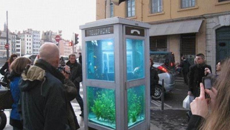 FOTO! Vezi cele mai ciudate acvarii din lume!