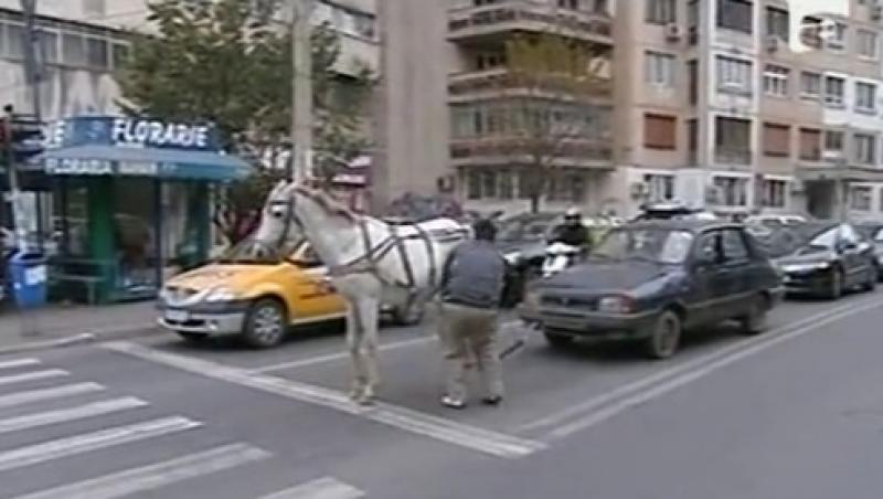 VIDEO! Dacia cu UN CAL putere, noua fita din Bucuresti!