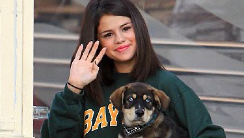 FOTO! Selena Gomez si Justin Bieber au adoptat un... catel!