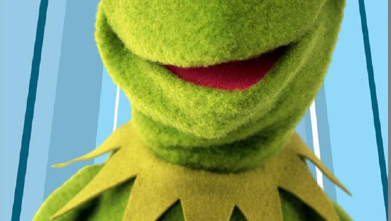 FOTO! Editie limitata: Adidas ofera tribut broscutei Kermit