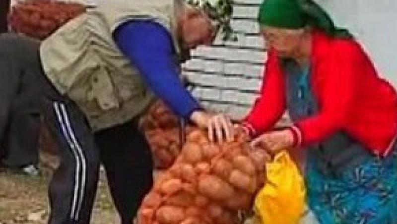 VIDEO! Bataie pe cartofi intre oamenii nevoiasi din Navodari!