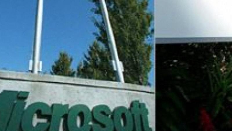 Microsoft evalueaza achizitia Yahoo. Actiunile companiei cresc cu peste zece procente