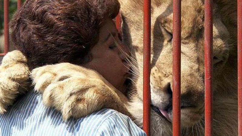 EMOTIONANT! Vezi cum isi imbratiseaza un leu salvatoarea!