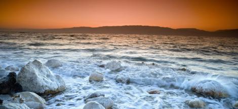 VIDEO! In Marea Moarta exista viata!