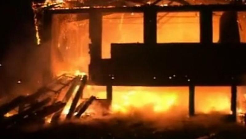 VIDEO! Incendiu devastator la hala unui gater din Borsa