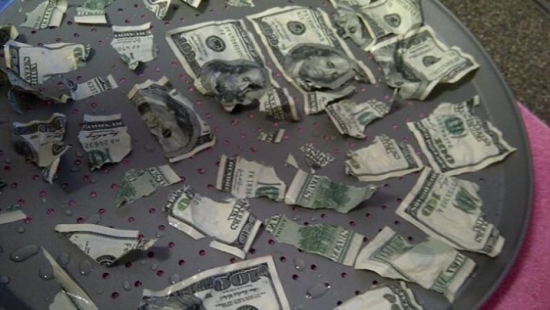 Cainele familiei a mancat 1000 de dolari si a vomitat 900