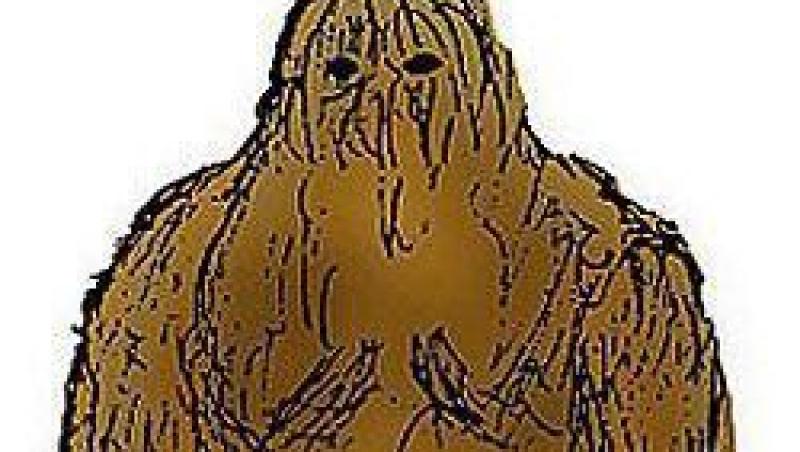 FOTO! Cercetatorii confirma: Bigfoot exista si traieste in paduri!