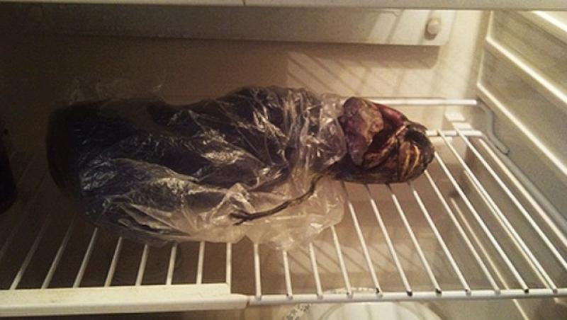 FOTO! O rusoaica a tinut un extraterestru in frigider!