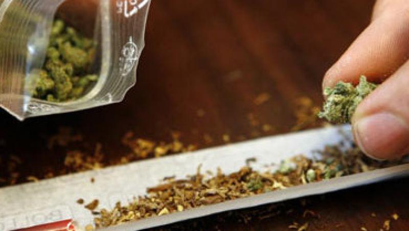 Liber la cannabis in Elvetia! Fiecare fumator poate cultiva patru plante