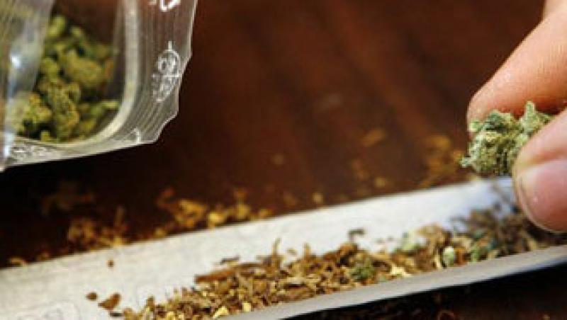 Liber la cannabis in Elvetia! Fiecare fumator poate cultiva patru plante