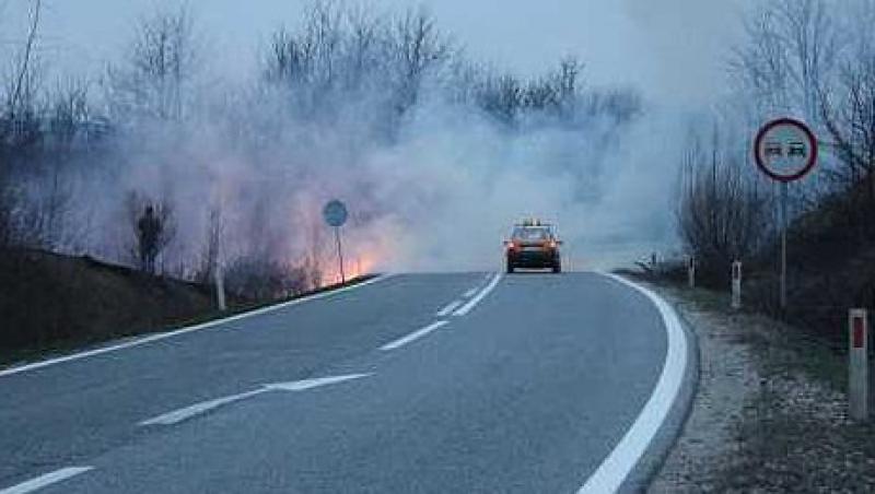 Circulatia pe A1, oprita pe sensul Pitesti-Bucuresti din cauza unui incendiu de vegetatie