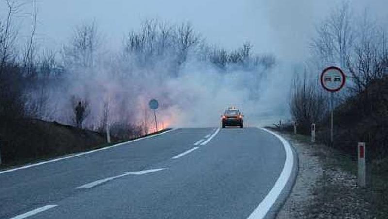 Circulatia pe A1, oprita pe sensul Pitesti-Bucuresti din cauza unui incendiu de vegetatie