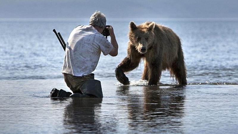 FOTO! Vezi primul urs Kamciatka fotografiat la cativa centimetri distanta!
