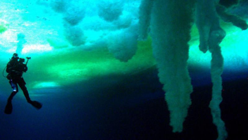 Omenirea, distrusa de un lucru la care nimeni nu s-a gandit