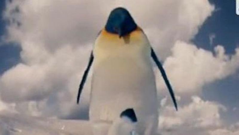 VIDEO! Pinguinul Mumble revine pe ecrane