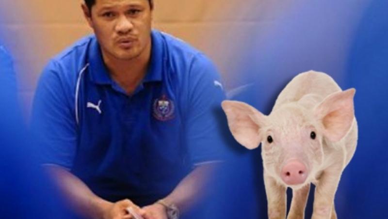 Managerul echipei nationale de rugby din Samoa, amendat cu 100 de porci