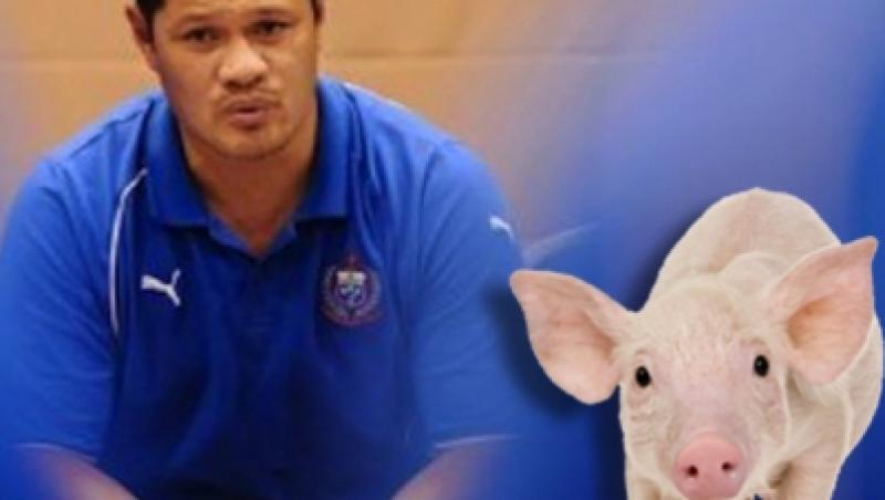 Managerul echipei nationale de rugby din Samoa, amendat cu 100 de porci