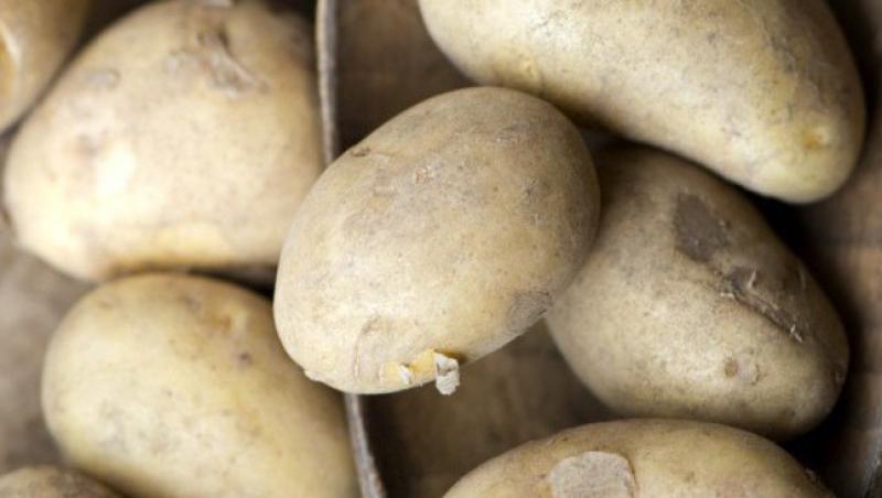 10 retete simple pe baza de cartofi