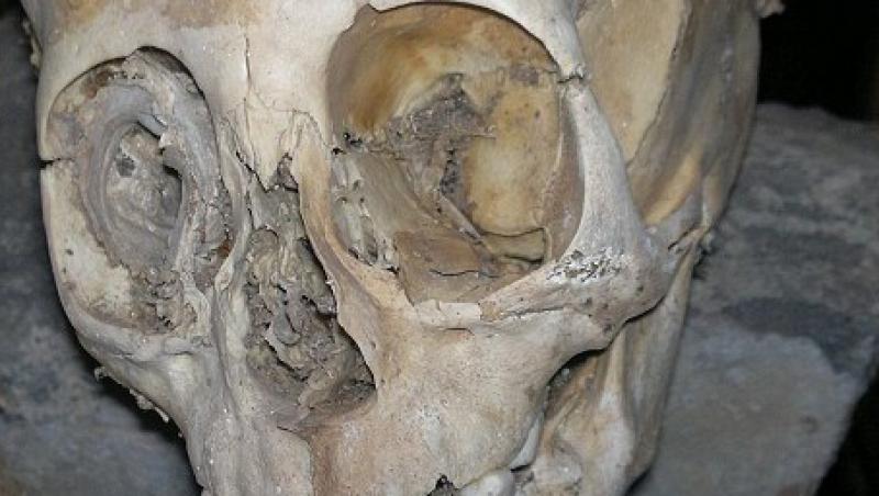 FOTO! Peru: S-a descoperit primul craniu extraterestru