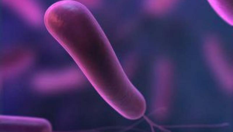Ulcerul nu este provocat numai de bacteria Helicobacter pylori