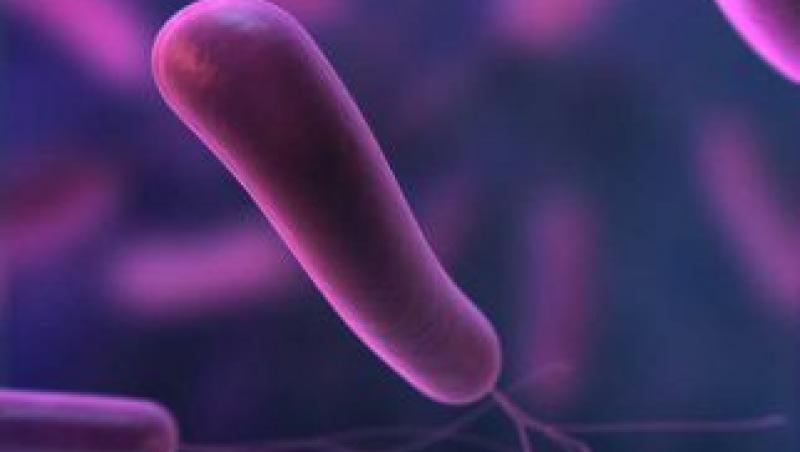 Ulcerul nu este provocat numai de bacteria Helicobacter pylori