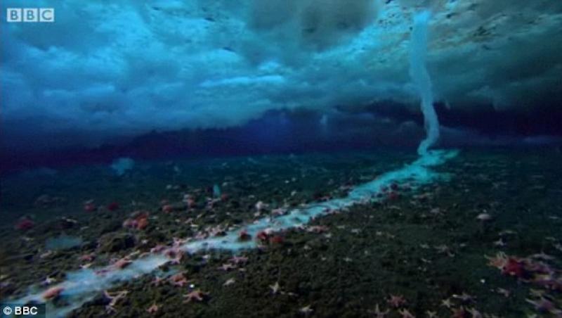 VIDEO! Vartej de gheata ucigas in arhipelagul Antarcticii