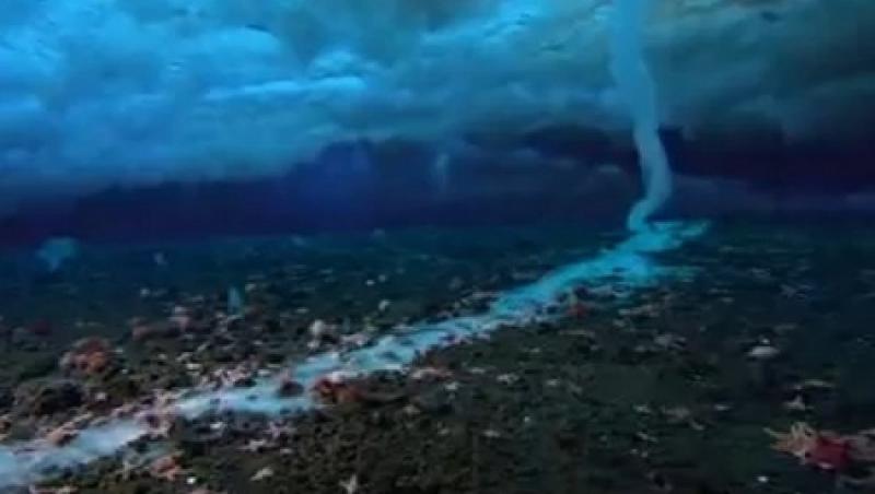 VIDEO! Vezi fenomenul ciudat care ameninta viata subacvatica!