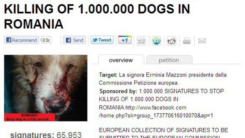 Un europarlamentar italian face o petitie online impotriva eutanasierii cainilor fara stapan din Romania