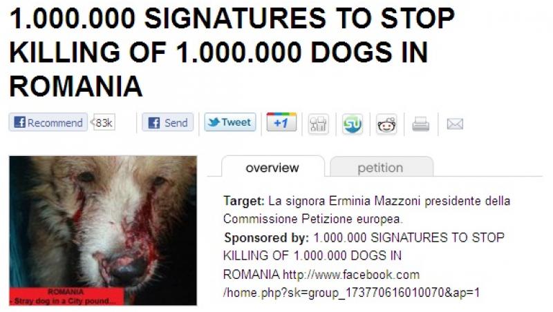 Un europarlamentar italian face o petitie online impotriva eutanasierii cainilor fara stapan din Romania