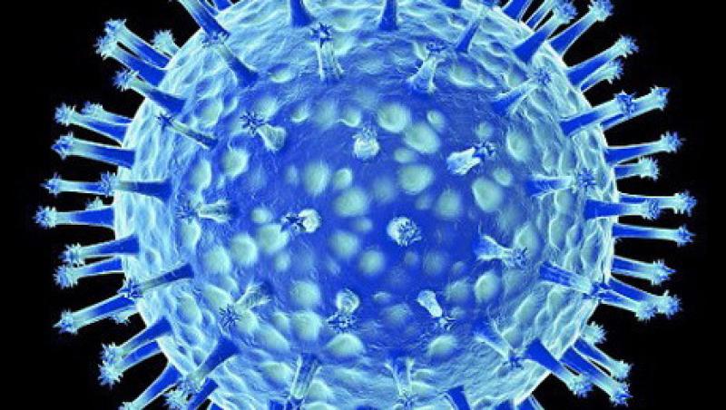 Virus extrem de periculos, creat de om in laborator