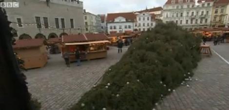 VIDEO! Misterul bradului de Craciun din Estonia: Pomul a cazut pentru a doua oara in ultimele trei zile