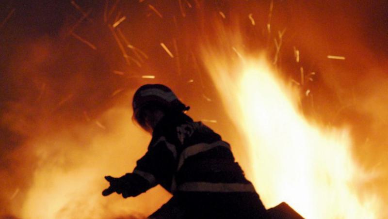 VIDEO! Incendii de vegetatie in Gorj: Doua sute de hectare, distruse