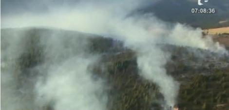 UPDATE! Incendiul din zona Transalpina a fost stins. Peste 200 de pompieri au actionat pentru stingerea focarelor