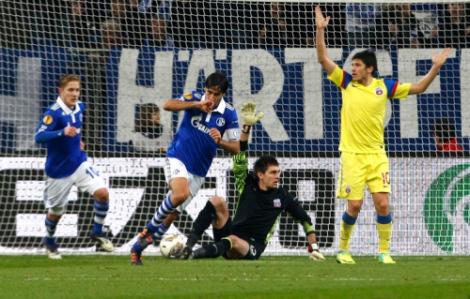 Schalke - Steaua 2-1 / Ros-albastrii spera la calificare