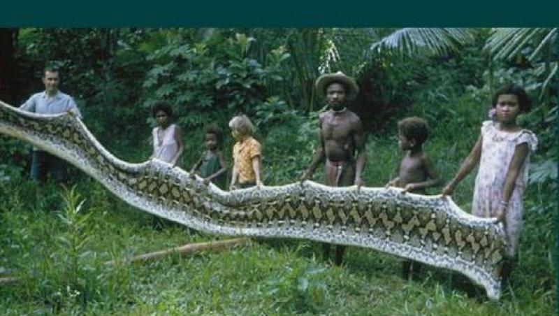 Faceti cunostinta cu Agta, tribul din Filipine care vaneaza serpi gigantici