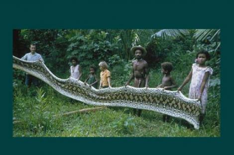 Faceti cunostinta cu Agta, tribul din Filipine care vaneaza serpi gigantici