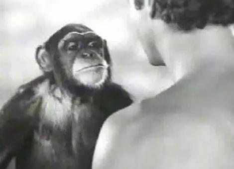 Maimuta Cheetah din seria de filme "Tarzan" a murit la 80 de ani