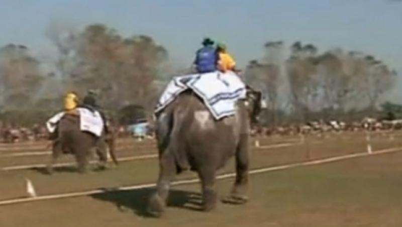 VIDEO! Fotbal cu elefanti, in Nepal