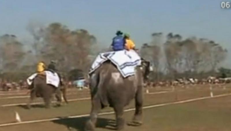 VIDEO! Fotbal cu elefanti, in Nepal