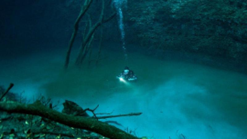 FOTO! 5 descoperiri subacvatice uluitoare!