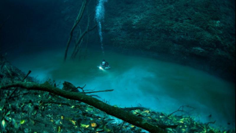 FOTO! 5 descoperiri subacvatice uluitoare!