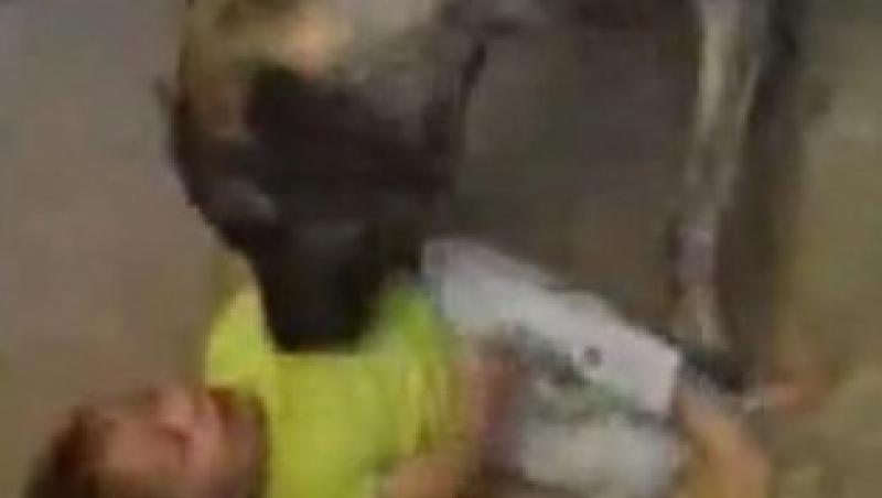VIDEO! Un bebelus se joaca cu un caine urias!