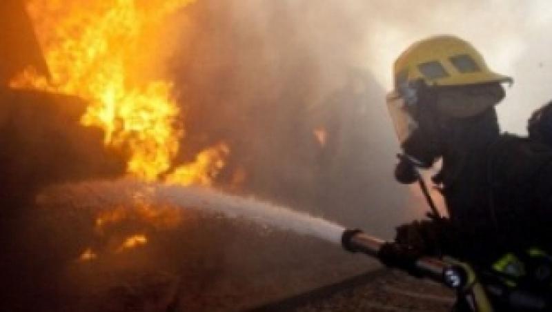 VIDEO! Un incendiu puternic a mistuit o hala, in Calarasi