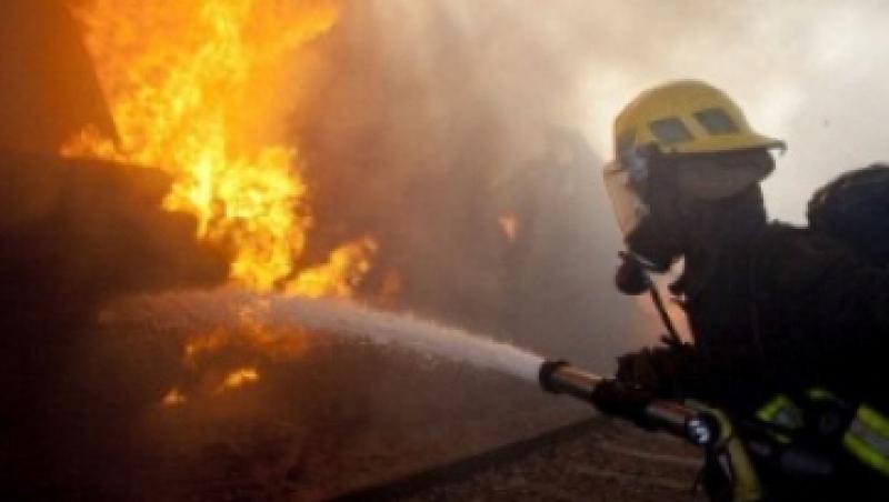 VIDEO! Un incendiu puternic a mistuit o hala, in Calarasi