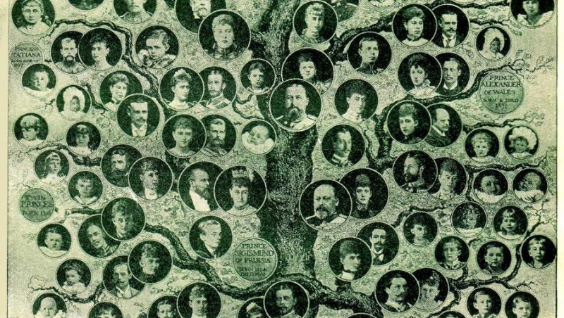 Arborele genealogic - ce spune trecutul despre noi