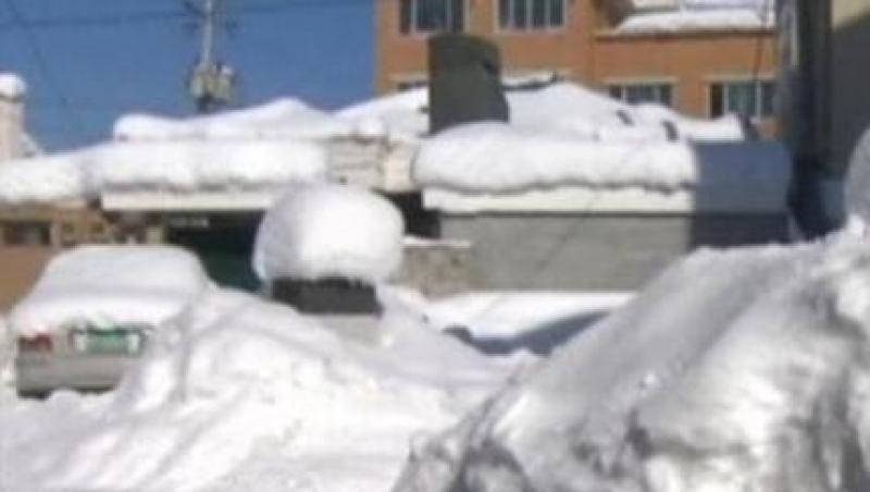 VIDEO! Iarna face ravagii pe toate continentele